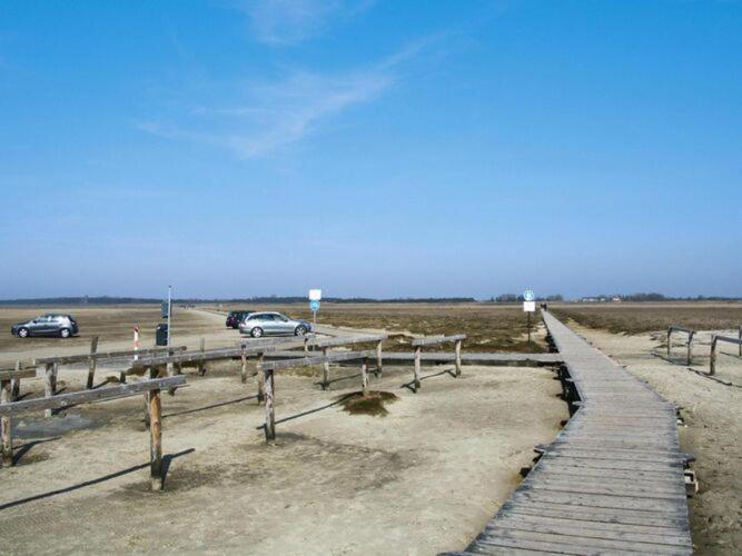 Apartment In St Peter-Ording In A Natural Environment Sankt Peter-Ording Exterior foto